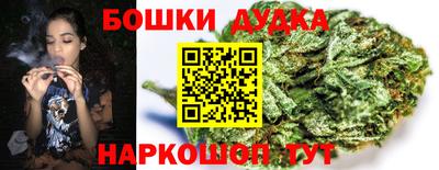 бошки Новодвинск