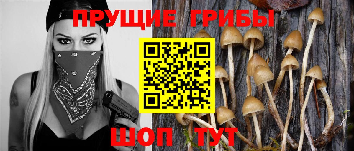 Галлюциногенные грибы прущие грибы  Вход с VPN  Псилоцибиновые грибы Psilocybe  Сургут 