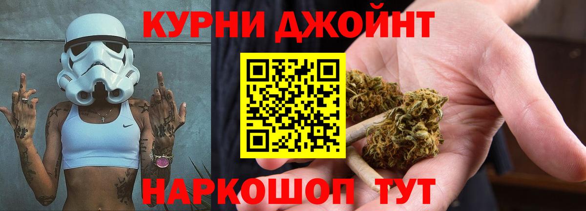 Конопля конопля Сургут
